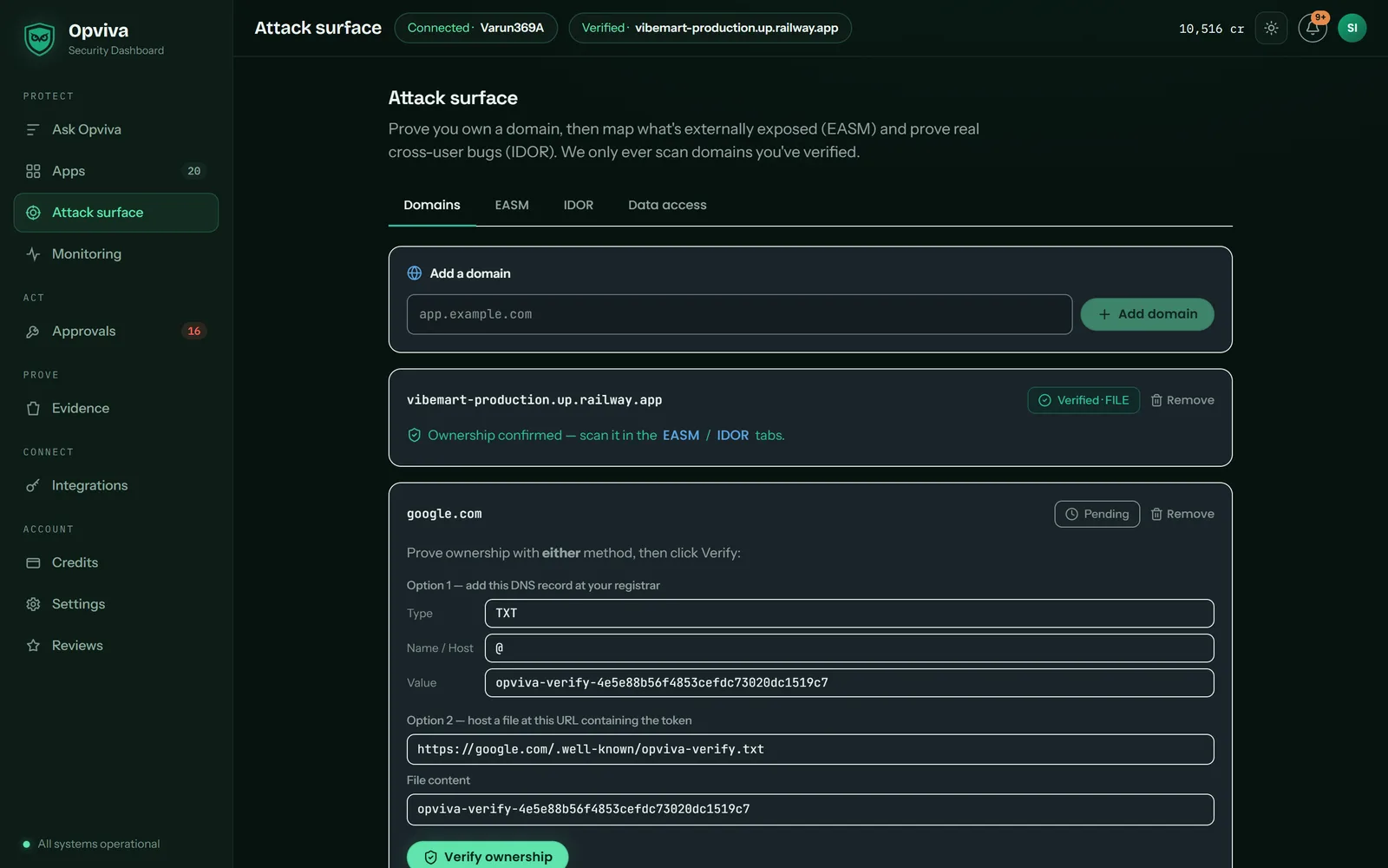 Opviva attack-surface screen listing exposed endpoints, open ports and leaked keys